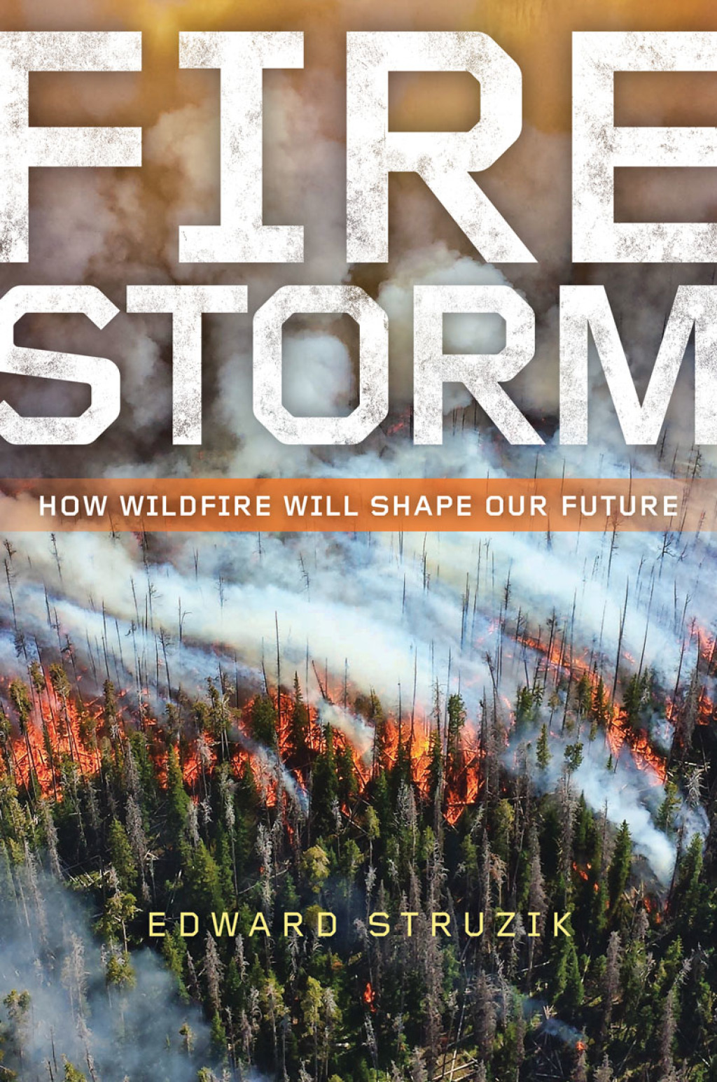 Firestorm How Wildfire Will Shape Our Future