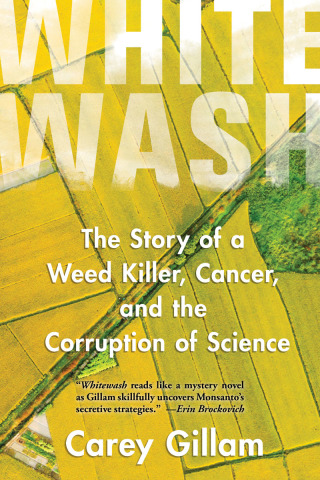 Cover image: Whitewash 9781642830422