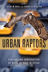 Cover image: Urban Raptors 9781610918404