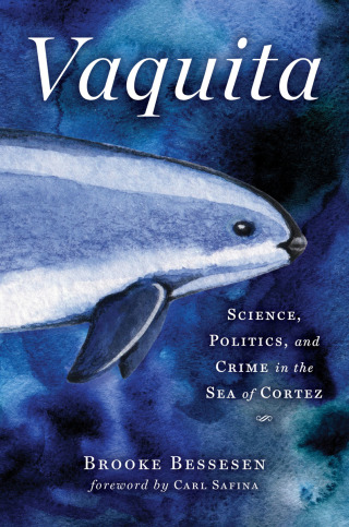 Cover image: Vaquita 9781610919319