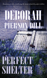 Cover image: Perfect Shelter 1st edition 9781611160116