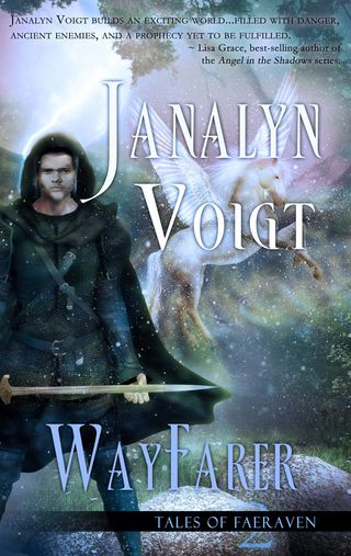 Cover image: Wayfarer 1st edition 9781611162929