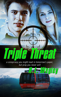 Cover image: Triple Threat 9781611163827