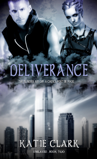 Imagen de portada: Deliverance 9781611163995