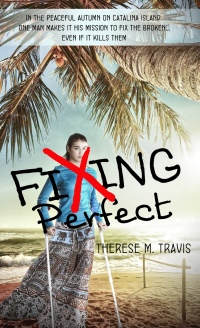 Cover image: Fixing Perfect 9781611164077