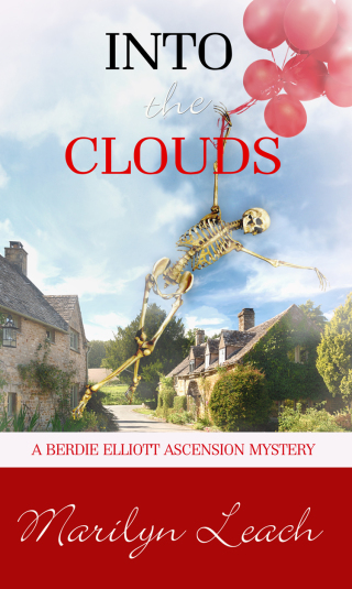 Cover image: Into the Clouds 9781611164336