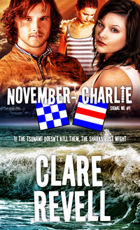 Cover image: November-Charlie 9781611164862