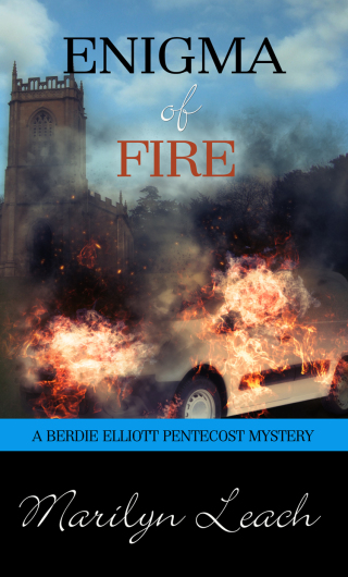 Cover image: Enigma of Fire 1st edition 9781611165272