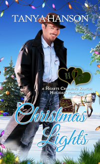 Imagen de portada: Christmas Lights 1st edition 9781611169171