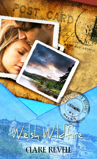 Cover image: Welsh Wildfire 1st edition