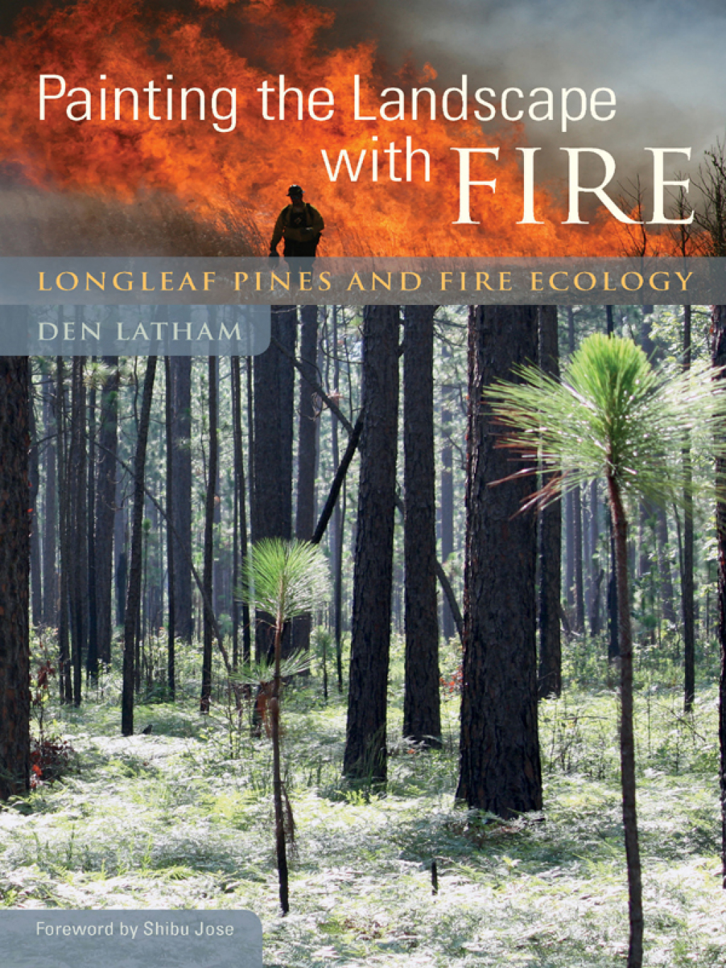 Painting the Landscape with Fire Longleaf Pines and Fire Ecology