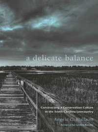 表紙画像: A Delicate Balance 9781611172782