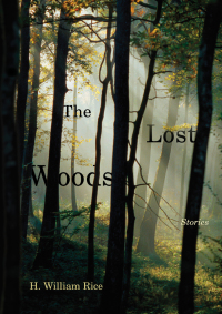 Omslagafbeelding: The Lost Woods 9781611173291