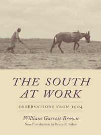 Cover image: The South at Work 9781611173758