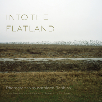 Cover image: Into the Flatland 9781611174151