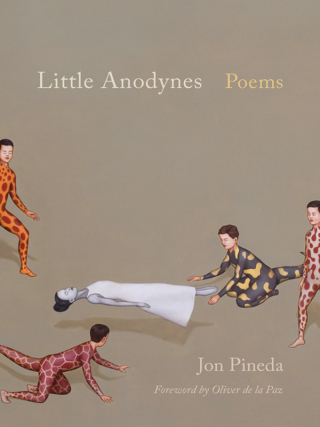 Cover image: Little Anodynes 9781611175257