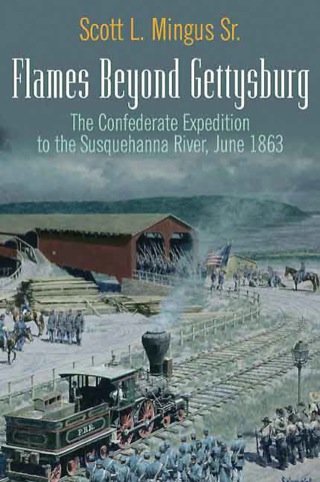 Cover image: Flames Beyond Gettysburg 9781611210729