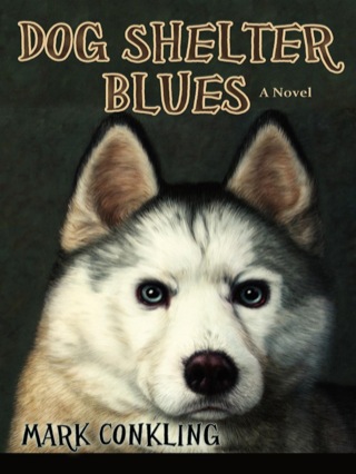 Imagen de portada: Dog Shelter Blues 9780865348776