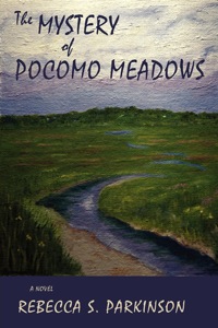 Cover image: The Mystery of Pocomo Meadows: A Novel 9780865348912