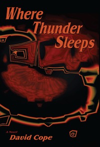 Cover image: Where Thunder Sleeps 9781632930583