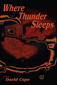 表紙画像: Where Thunder Sleeps 9781632930583