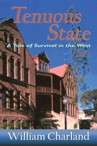 Cover image: Tenuous State