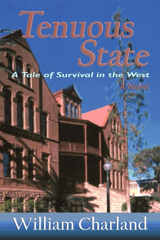 Imagen de portada: Tenuous State