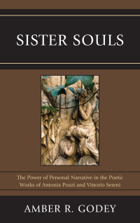 Cover image: Sister Souls 9781611470321