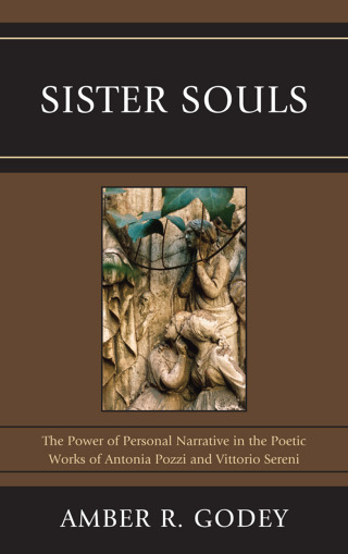 Cover image: Sister Souls 1st edition 9781611470321