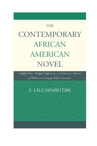 Imagen de portada: The Contemporary African American Novel 9781611475302