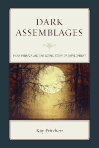 Cover image: Dark Assemblages 9781611486728