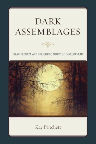 Imagen de portada: Dark Assemblages 1st edition 9781611486728