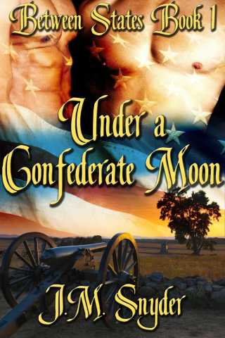 Imagen de portada: Under a Confederate Moon 9781611520705
