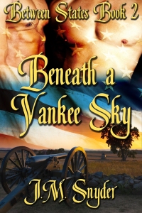 表紙画像: Beneath a Yankee Sky 9781611520743