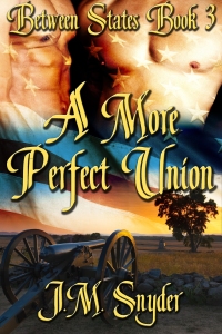 表紙画像: A More Perfect Union 9781611520774