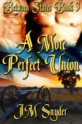 Imagen de portada: A More Perfect Union 9781611520774