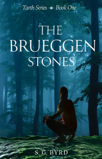 Omslagafbeelding: The Brueggen Stones 9781611535150
