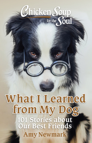 Cover image: Chicken Soup for the Soul: What I Learned from My Dog 9781611591194