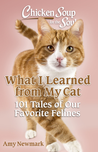 Cover image: Chicken Soup for the Soul: What I Learned from My Cat 9781611591217