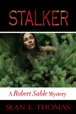 Cover image: Stalker 9781611603583