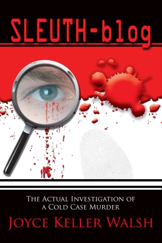 Cover image: Sleuth-blog 9781611605235