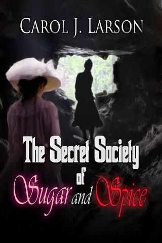 Cover image: The Secret Society Of Sugar And Spice 9781611605631