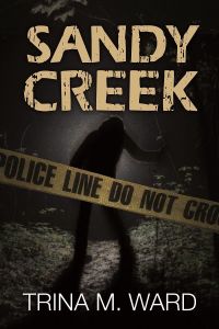 Cover image: Sandy Creek 9781633556294