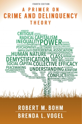 Cover image: A Primer on Crime and Delinquency Theory 4th edition 9781611636857