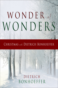 Cover image: Wonder of Wonders 9780664260453