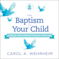 Cover image: The Baptism of Your Child 9780664263942