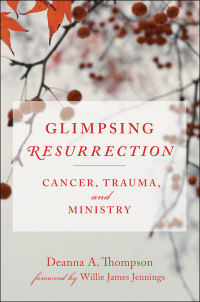 Cover image: Glimpsing Resurrection 9780664262761