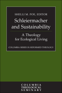 表紙画像: Schleiermacher and Sustainability 9780664263577