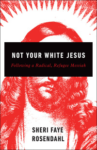 Cover image: Not Your White Jesus 9780664264161