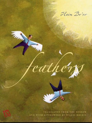 Cover image: Feathers 9781584655350
